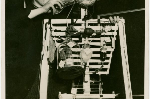 A young man "feeds" the4 chemichal man, a digestive system made of jars and tubes