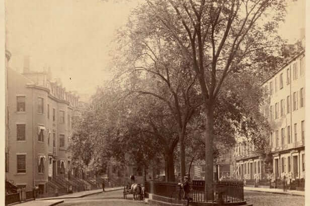 Pemberton Square (man with bicycle by tree)