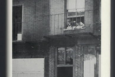 photograph of a book cover with a photograph of two boys looking out of a second-story window of a brick apartment building