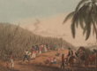 A colored engraving of enslaved African peoples cutting sugar cane in a Caribbean setting.