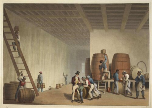 An image of a large interior of a distillery. Enslaved Africans labor, carrying barrels and distilling rum, while a White enslaver oversees.