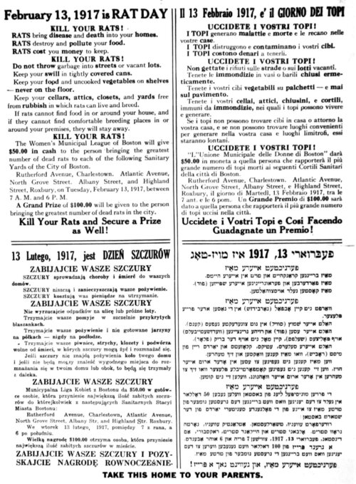 A poster with the same message in English, Italian, Yiddish, and Polish about an upcoming rat day collection.