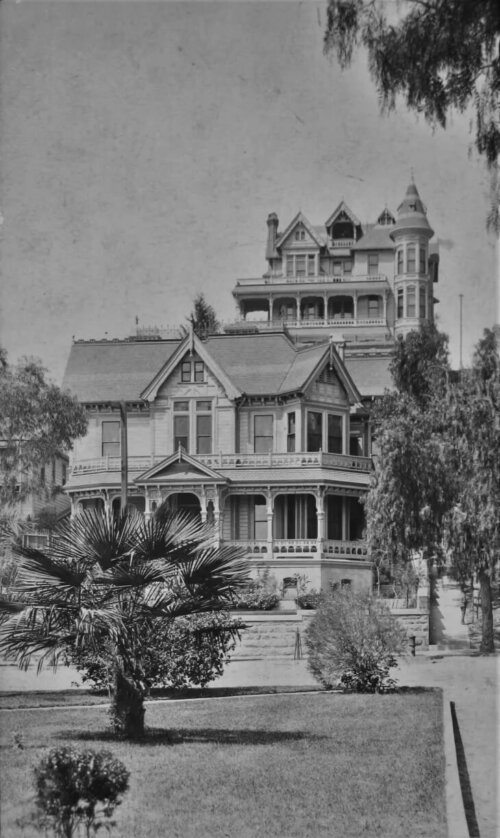 Two mansions on a hill surrounded by palm trees.