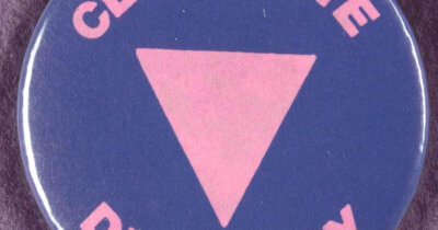 Celebrate diversity Pin (Queer History Boston) A blue pin with a pink triangle in the middle with celebrate diversity around the edges.