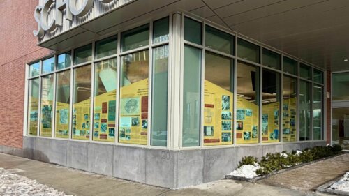 Two walls of windows with window clings facing out onto the street.