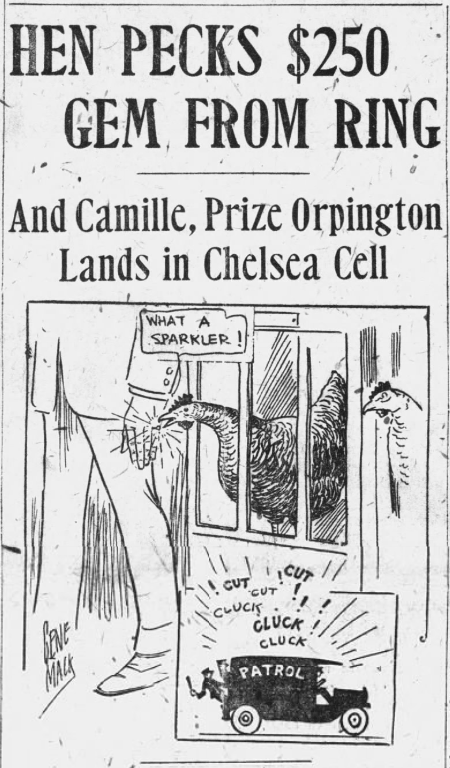 A newspaper clipping "Hen pecks $250 Gem from Ring" with an illustration of a chicken biting a ring and a small illustration of a police car.