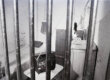 A view of a jail cell through the bars. There is a bed, tv set, and sink visible.
