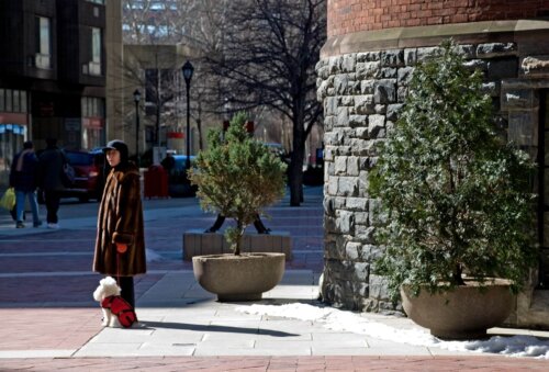 A woman holding the leash of a white dog stands on a street corner next to a large brick and stone building.