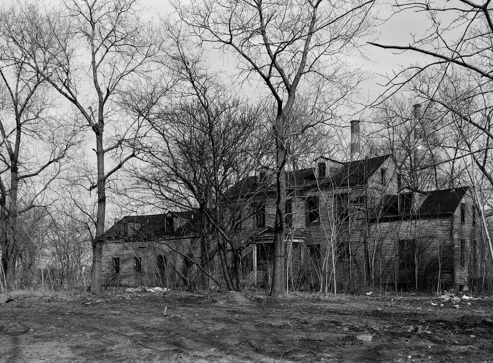 A black and white photo of a two story farm house behind a stand of trees.