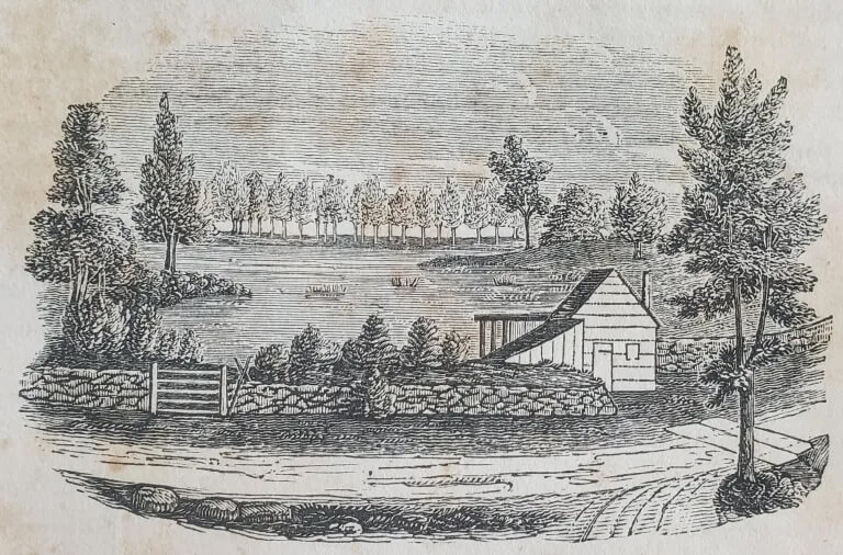 An illustration of a building on the edge of a man made pond.
